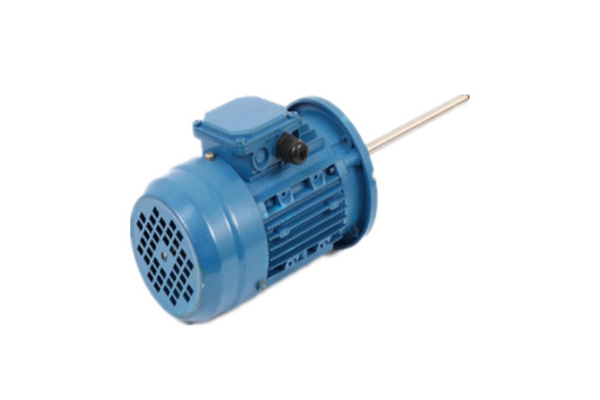 立式長軸電機(jī)