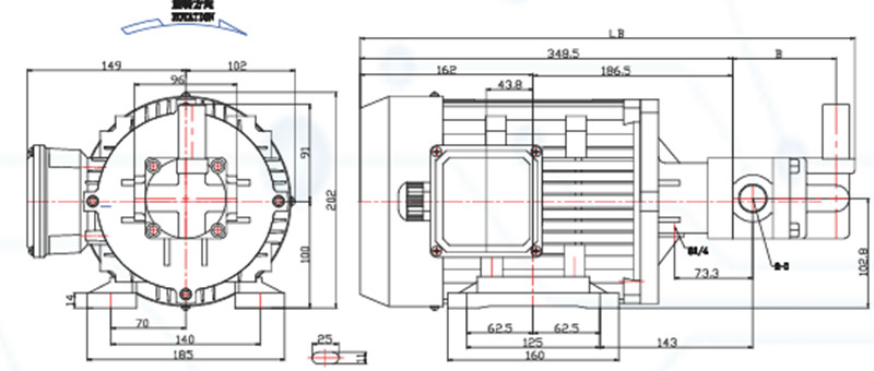 潤滑泵專用電機外形尺寸圖
